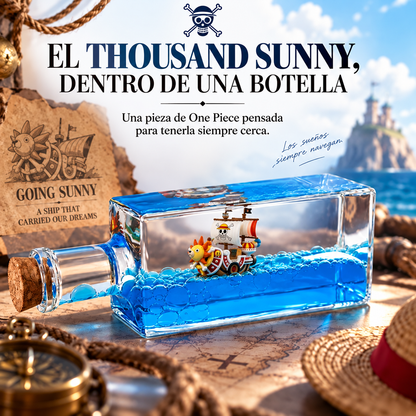Thousand Sunny | Barco Insumergible